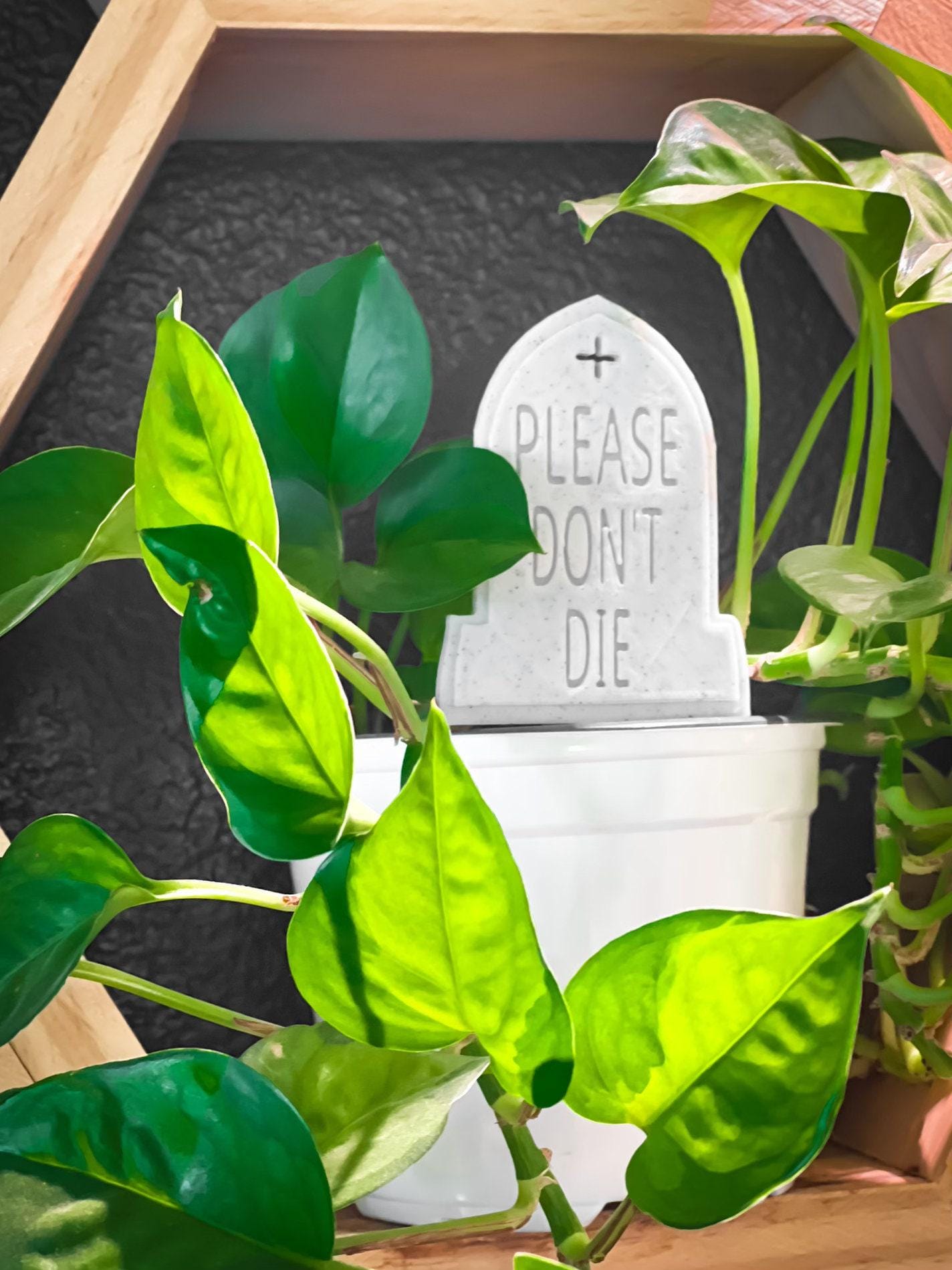 Funny Plant Stake, Set Of 3, Garden Pun Signs - 2X6In, Indoor Planter Markers, Memorial Tombstone Style