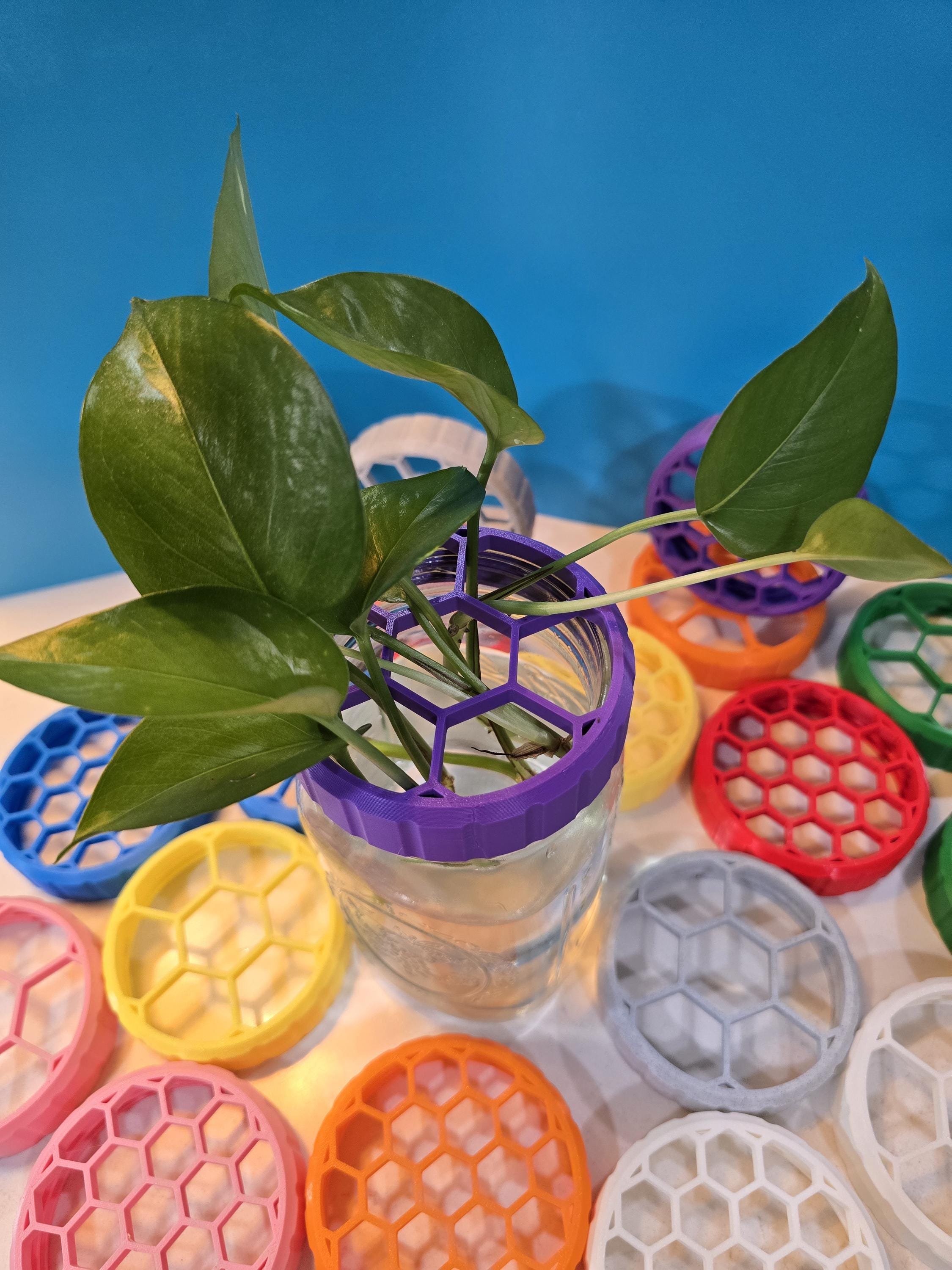 Propagation Jar Lid - Wide Mouth Mason Adapter - Hexagon Pattern, Comfort Grip, Large & Small Openings (1in, 1/2in)