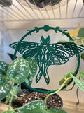 Death Moth Moon, Gothic Trellis For Houseplants | Root-Safe Stakes | 9.5in Diameter, Training Frame