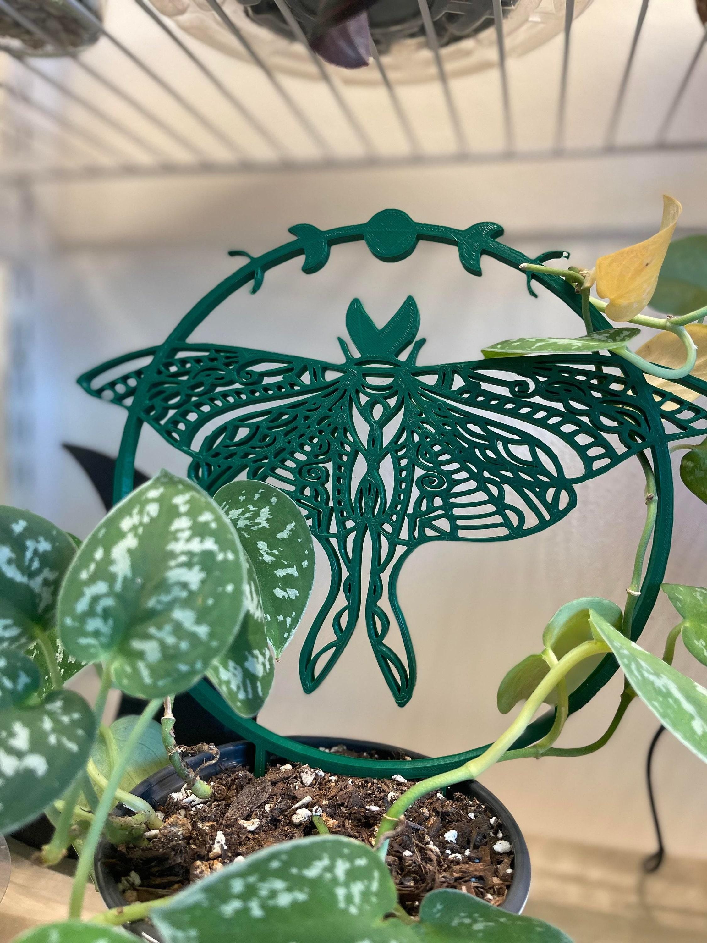 Death Moth Moon, Gothic Trellis For Houseplants | Root-Safe Stakes | 9.5in Diameter, Training Frame