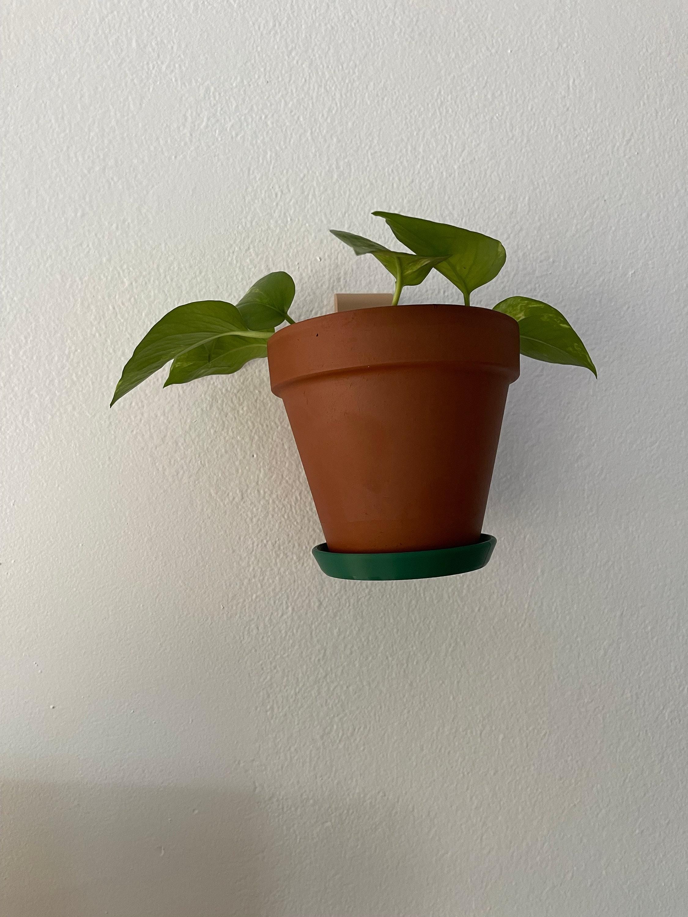 Terracotta 6in Pot, Clip-In Hanging Tray - Rim Drip Catcher, Ceramic, Multiple Colors | Indoor Outdoor