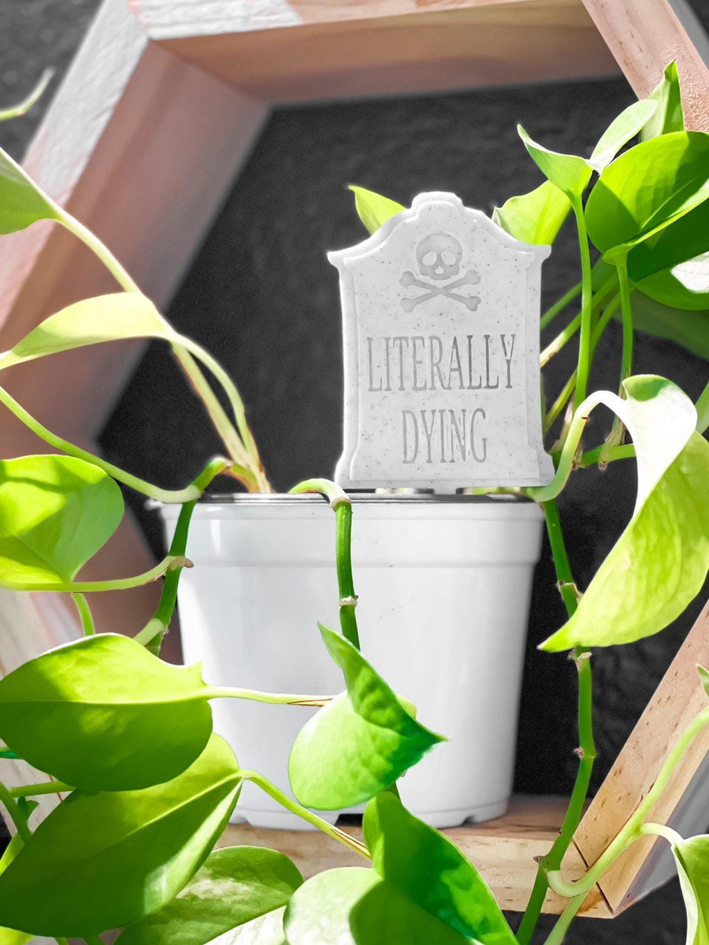 Funny Plant Stake, Set Of 3, Garden Pun Signs - 2X6In, Indoor Planter Markers, Memorial Tombstone Style