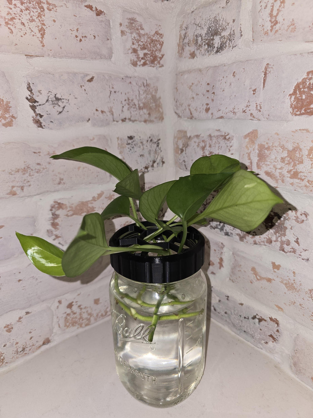 Propagation Jar Lid - Wide Mouth Mason Adapter - Hexagon Pattern, Comfort Grip, Large & Small Openings (1in, 1/2in)