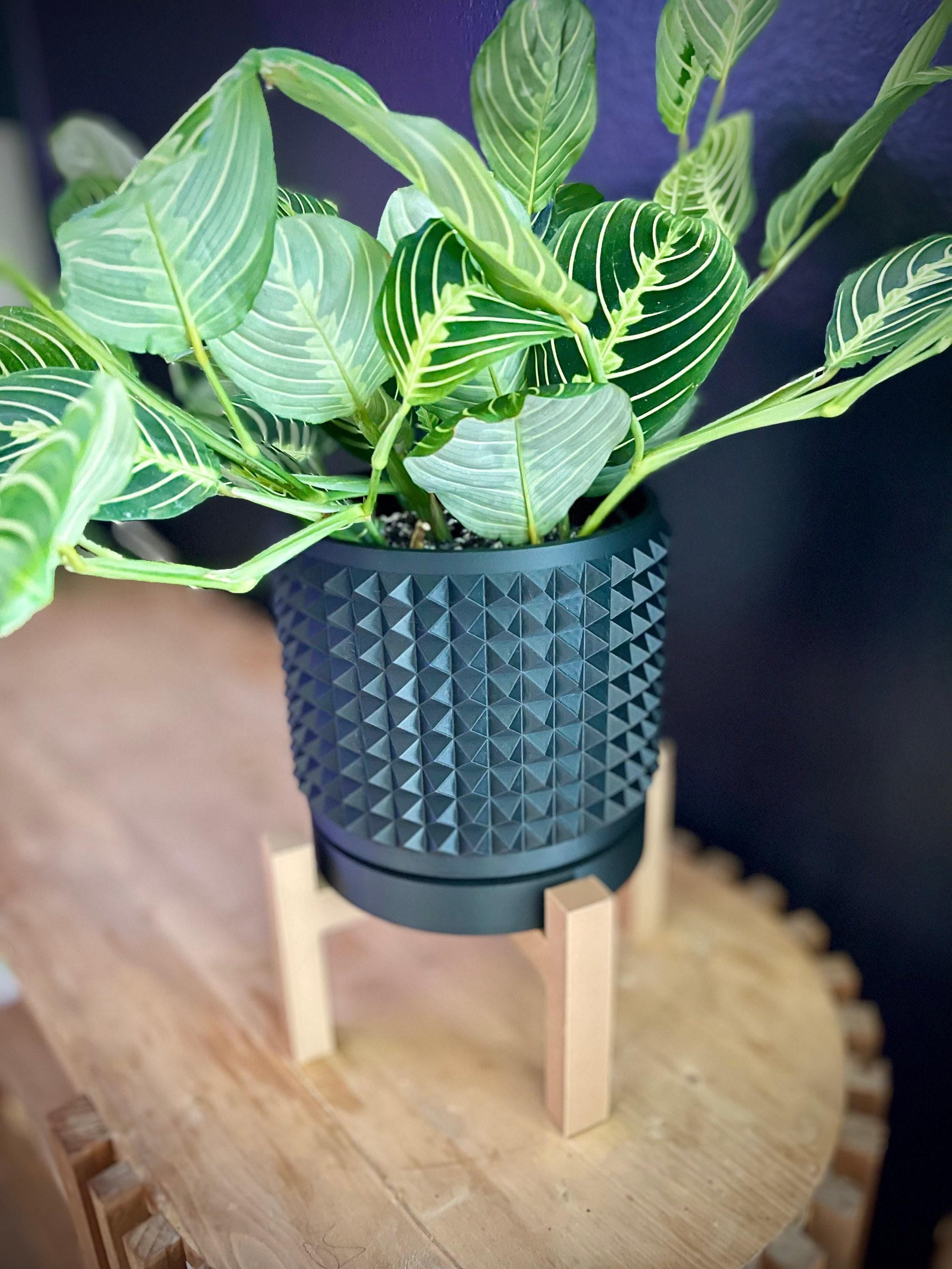 The Anver Planter, Studded Pot Set, Drain Tray Included - Sturdy Stand, Indoor Plant Display (3–8" Openings, Sizes)