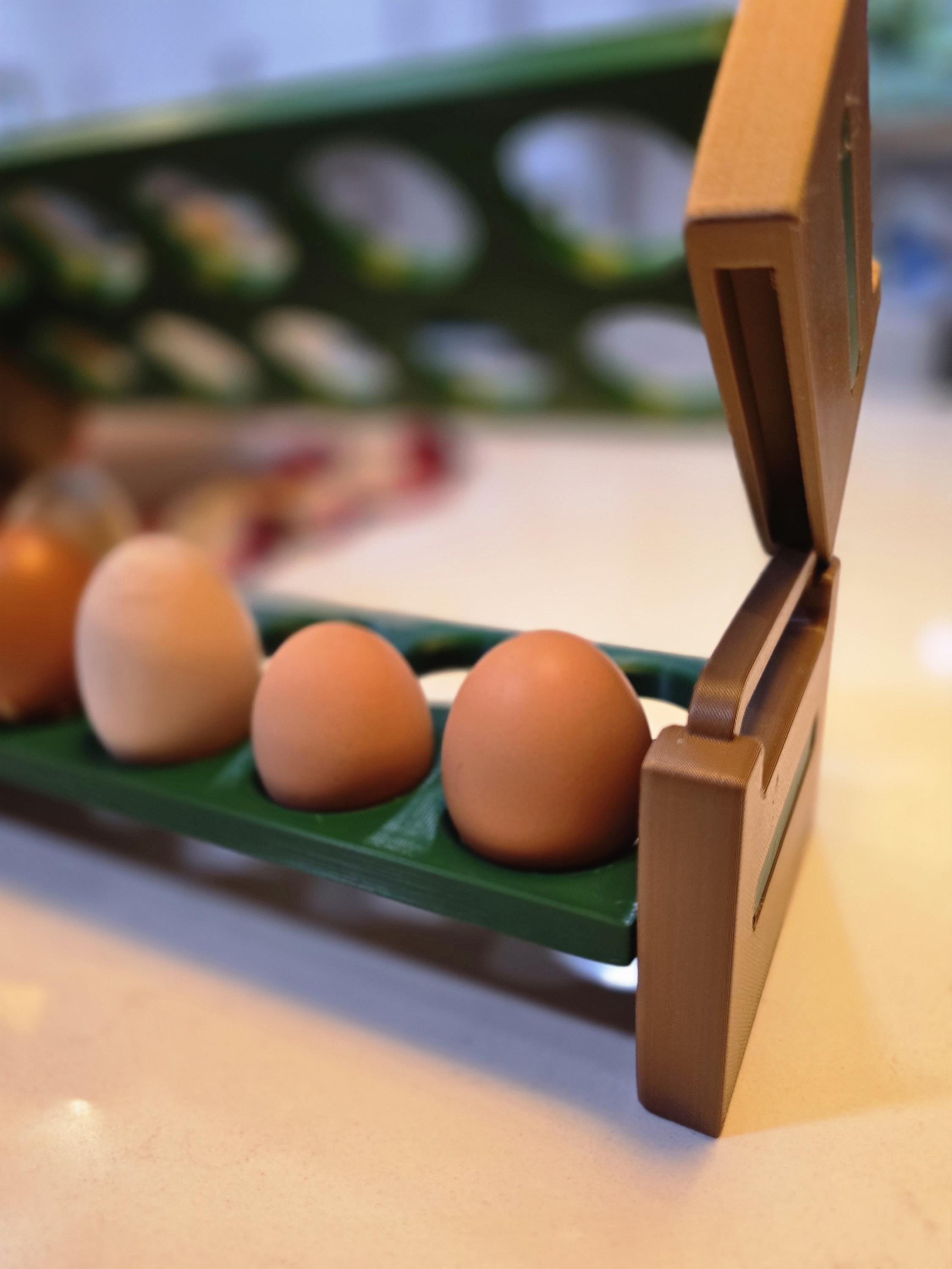Egg Storage Rack