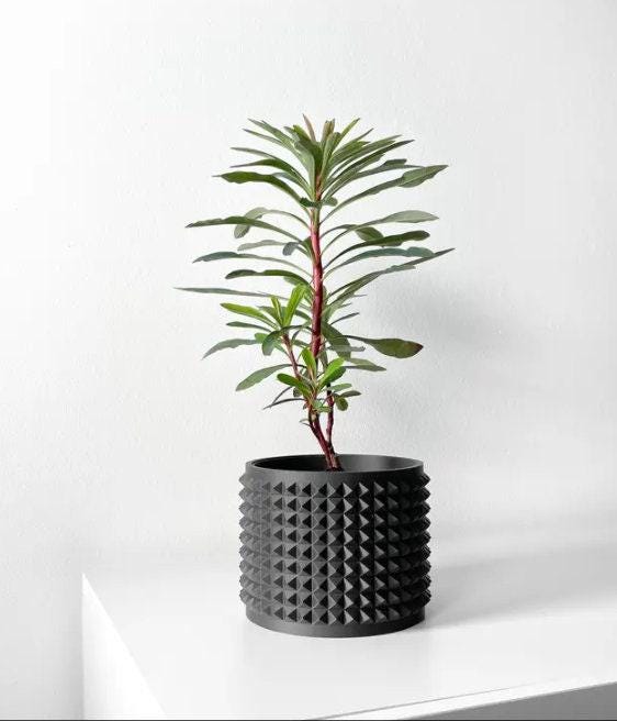 The Anver Planter, Studded Pot Set, Drain Tray Included - Sturdy Stand, Indoor Plant Display (3–8" Openings, Sizes)