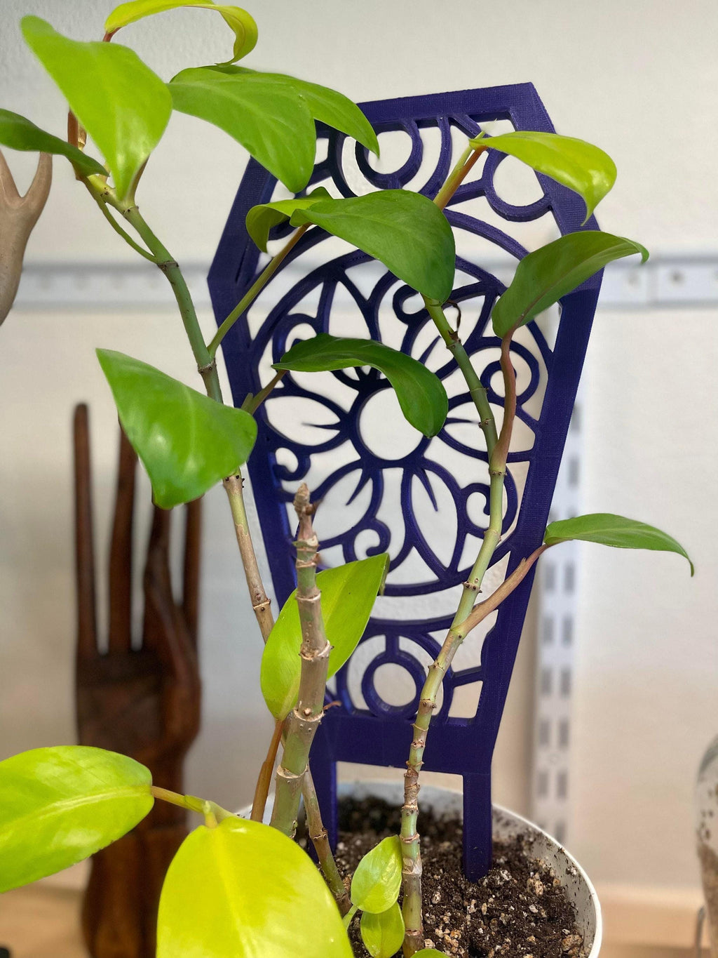 Coffin Plant Trellis, Flower Pattern Support - Indoor Vine Trainer, Rounded Stakes, Scaled Options, 16 x 6 1/2In