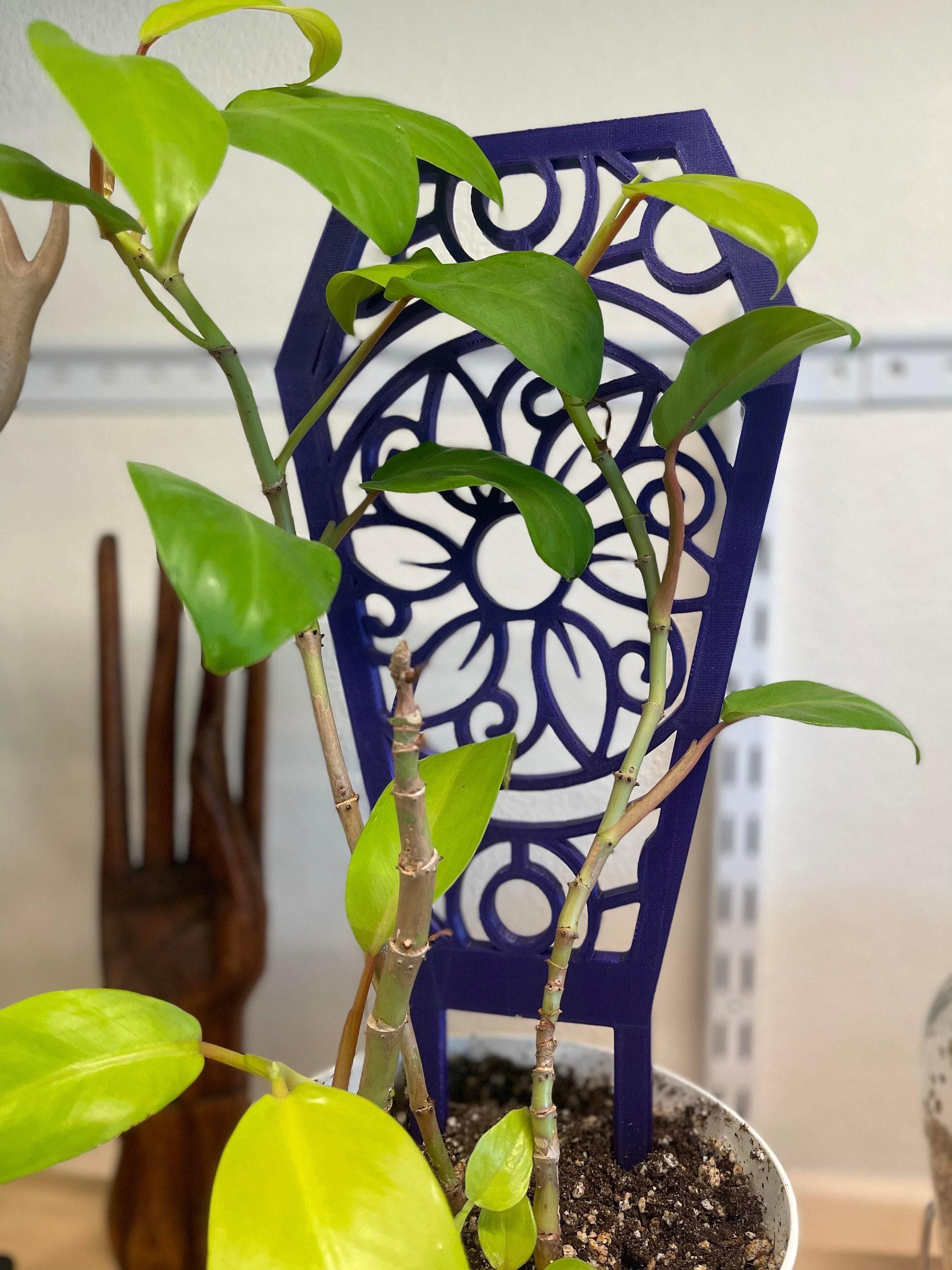 Coffin Plant Trellis, Flower Pattern Support - Indoor Vine Trainer, Rounded Stakes, Scaled Options, 16 x 6 1/2In