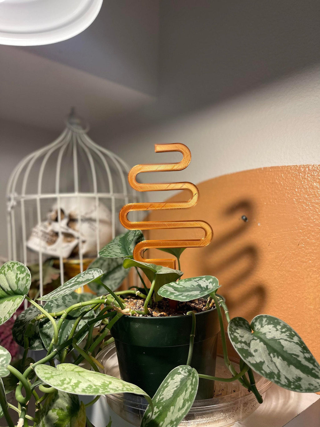 Wire Plant Trellis, Simple Eclectic Climbing Support | 3D Printed, Rounded Spike, Indoor Small
