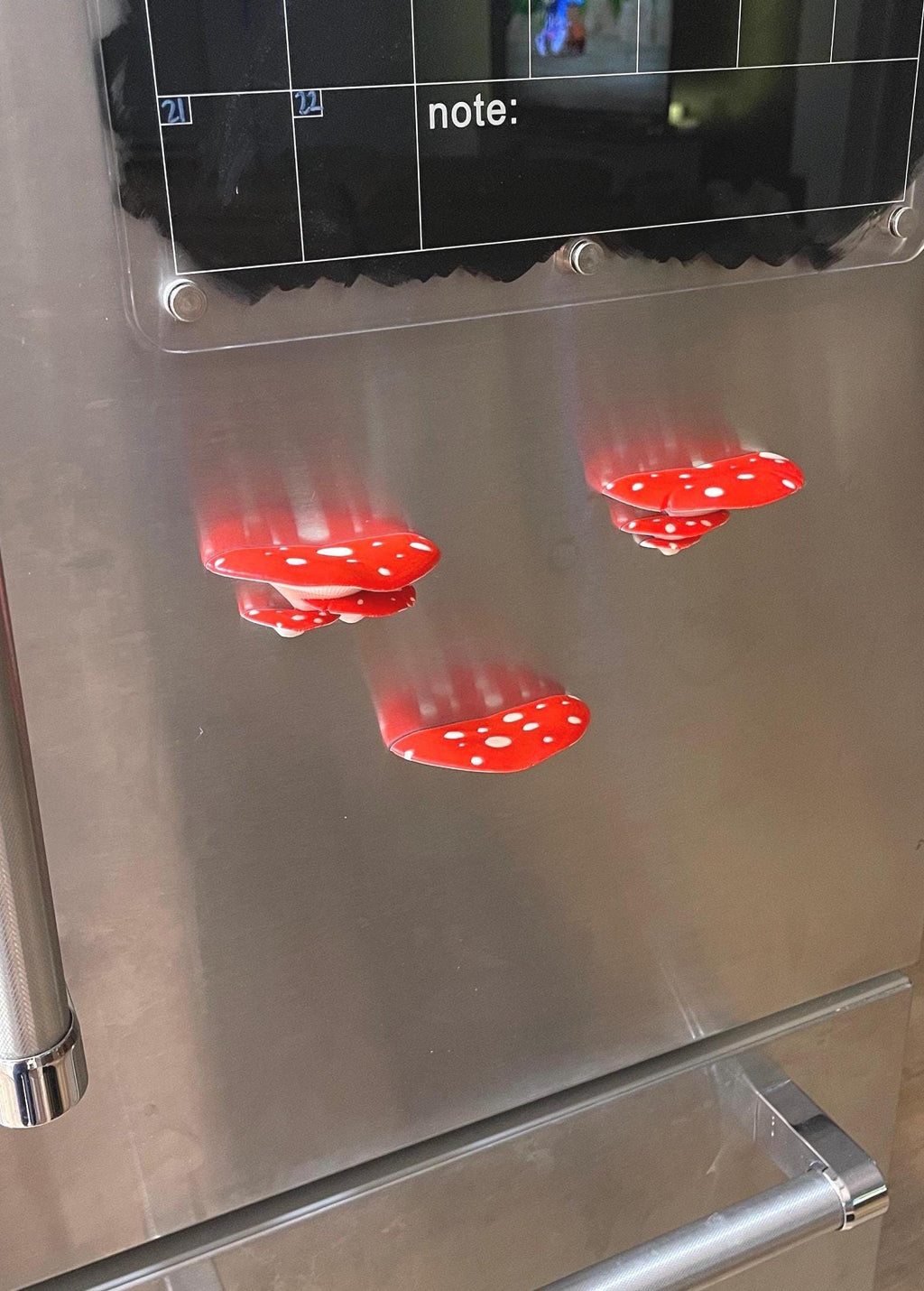 Magnet Mushrooms