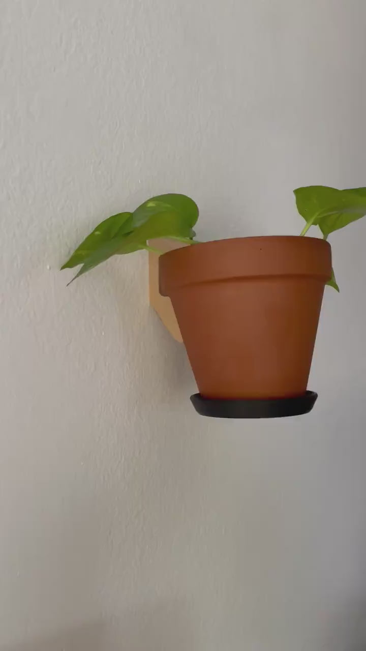 Terracotta 6in Pot, Clip-In Hanging Tray - Rim Drip Catcher, Ceramic, Multiple Colors | Indoor Outdoor